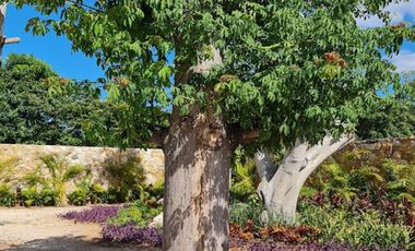 Rocio Country Living Lote Residencial 26