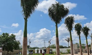 Rocio Country Living Lote Residencial 67