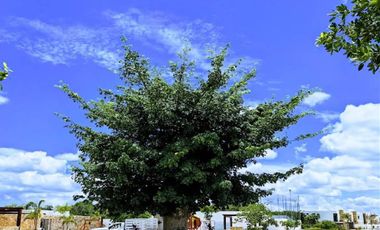 Rocio Country Living Lote Residencial 67