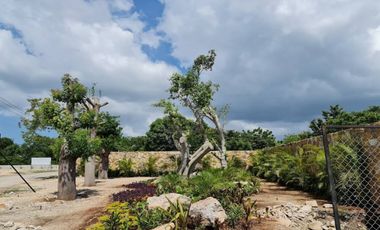 Rocio Country Living Lote Residencial 67