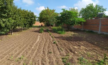 Depósito en venta - 2 Galpones - Rosario