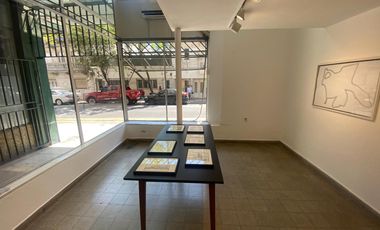 Local comercial en doble altura. Vidriera a la calle