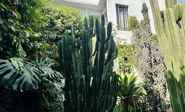 RENTA HERMOSA CASA EN BARRIO DE LA CONCEPCION, COYOACAN