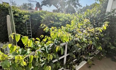 RENTA HERMOSA CASA EN BARRIO DE LA CONCEPCION, COYOACAN