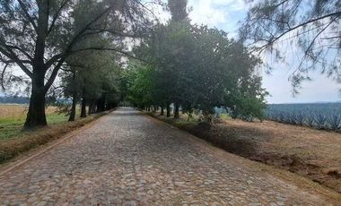 Espectacular Terreno Campestre en Venta en Huertas el Zamorano El Arenal JAl
