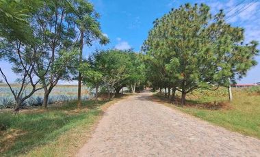 Espectacular Terreno Campestre en Venta en Huertas el Zamorano El Arenal JAl