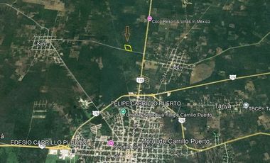 Terreno de 4.75 hectáreas en venta en Motul