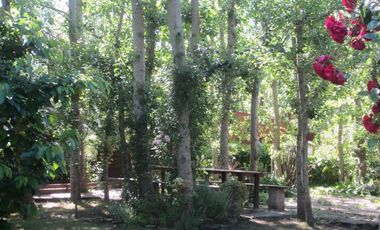 Chalet en Mar de Cobos