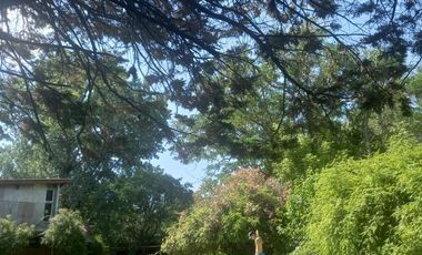 Las Chacras - Ing Maschwitz | ALQUILER DE VERANO | Encantadora Casa de Madera c/Hermoso Jardin