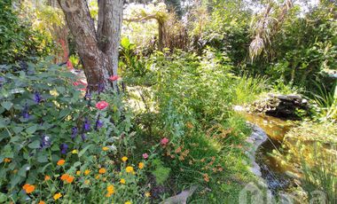 Las Chacras - Ing Maschwitz | ALQUILER DE VERANO | Encantadora Casa de Madera c/Hermoso Jardin