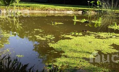 Las Chacras - Ing Maschwitz | ALQUILER DE VERANO | Encantadora Casa de Madera c/Hermoso Jardin