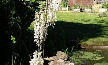 Las Chacras - Ing Maschwitz | ALQUILER DE VERANO | Encantadora Casa de Madera c/Hermoso Jardin