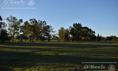 Chacra en venta 39 has Florencio Varela