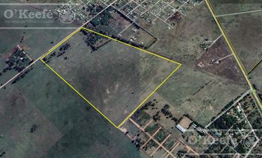 Chacra en venta 39 has Florencio Varela