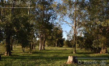 Chacra en venta 39 has Florencio Varela