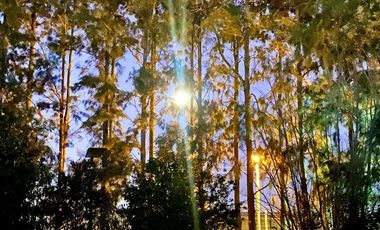 Casa en venta - 4 Dormitorios 4 Baños - 3.000Mts2 - La Plata