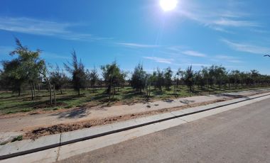 Ciudad Industria - Parque Industrial en Funes