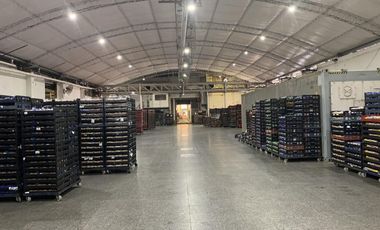 Depósito - El Talar