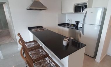 Departamento en Alquiler, 2 Ambientes con cochera en Brickell Tigre, GBA Norte
