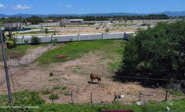 Lote Jarrtaderas F1 BB