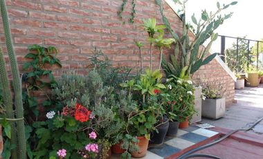 PH en  Santamarina 787