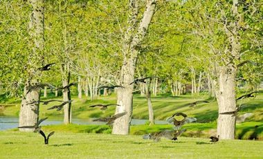 Casa con inmejorable vista al lago