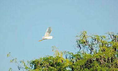 Casa con inmejorable vista al lago