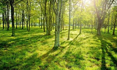 Casa con inmejorable vista al lago