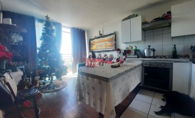 Grace Kelm Vende Depto de  dorm 2 baños sobre mapocho santiago centro