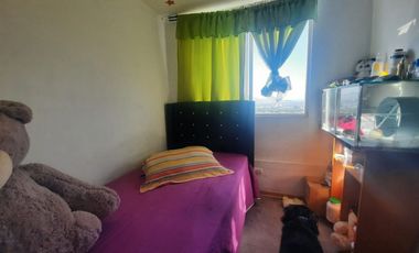 Grace Kelm Vende Depto de  dorm 2 baños sobre mapocho santiago centro