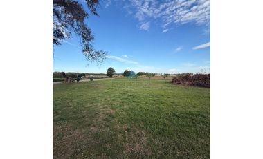 VENTA – 2 CASAS QUINTA- 12,67 HECTREAS – COLONIA CAROYA