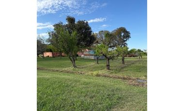 VENTA – 2 CASAS QUINTA- 12,67 HECTREAS – COLONIA CAROYA