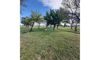 VENTA – 2 CASAS QUINTA- 12,67 HECTREAS – COLONIA CAROYA