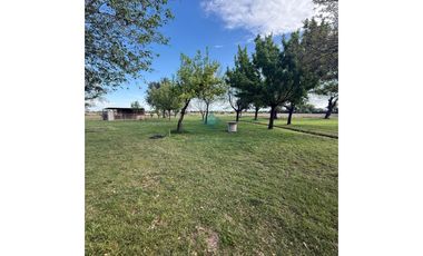 VENTA – 2 CASAS QUINTA- 12,67 HECTREAS – COLONIA CAROYA