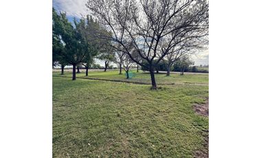 VENTA – 2 CASAS QUINTA- 12,67 HECTREAS – COLONIA CAROYA