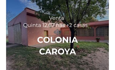 VENTA – 2 CASAS QUINTA- 12,67 HECTREAS – COLONIA CAROYA