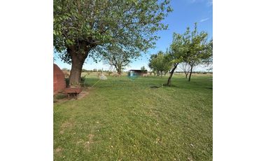 VENTA – 2 CASAS QUINTA- 12,67 HECTREAS – COLONIA CAROYA