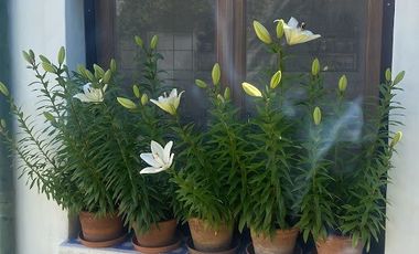 Casa en alquiler de 4 dormitorios c/ cochera en San Isidro Catedral