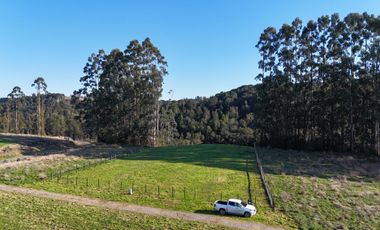 Parcela en venta en PUERTO VARAS