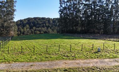 Parcela en venta en PUERTO VARAS