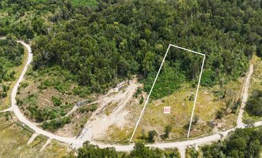 Parcela en venta en LOS MUERMOS