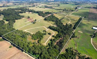 Parcela en venta en LOS MUERMOS