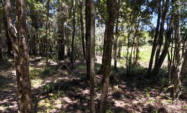 Parcela en venta en LOS MUERMOS