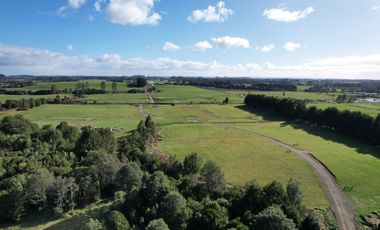 Parcela en venta en LOS MUERMOS