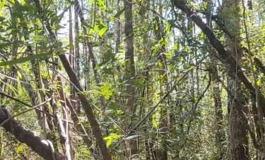 Parcela en Venta en MAULLIN