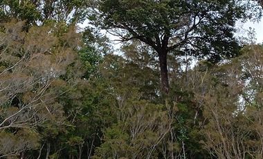 Parcela en Venta en MAULLIN