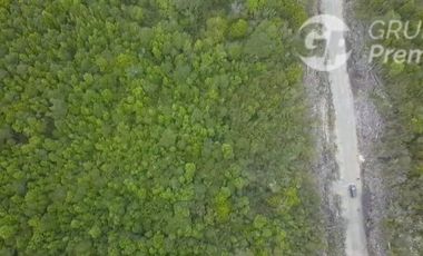 Parcela en Venta en MAULLIN