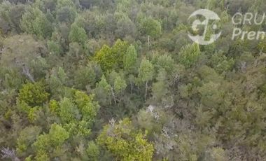 Parcela en Venta en MAULLIN