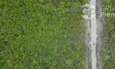 Parcela en Venta en MAULLIN