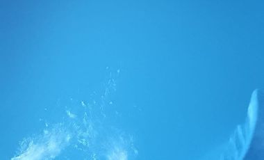 venta Propiedad con renta consolidada